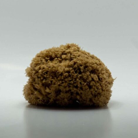 Bio Esponja Marina del Mediterráneo Baño