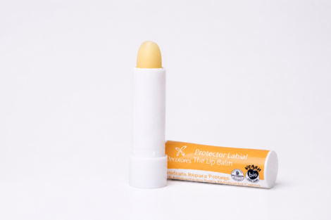 Protector labial stick