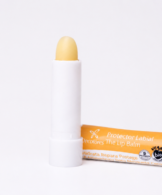 Protector labial stick
