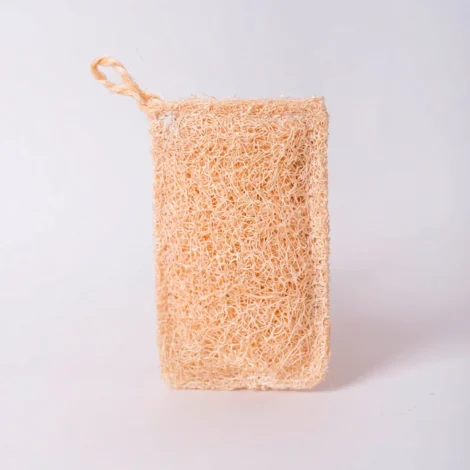 Estropajo vegetal de Luffa 100% natural biodegradable para cocina