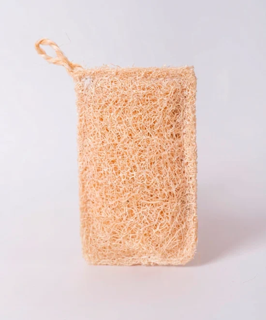 Estropajo vegetal de Luffa 100% natural biodegradable para cocina